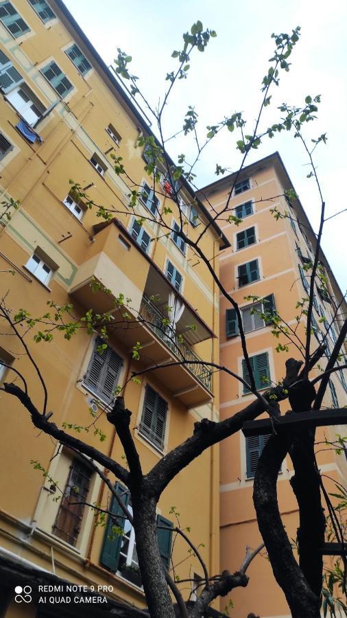 La Nina Apartman Camogli Kültér fotó